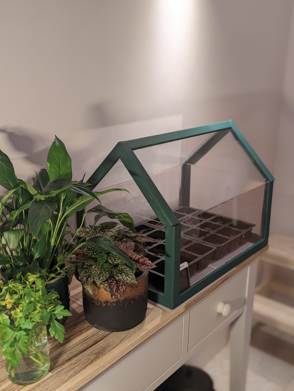 The Little Greenhouse